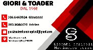 TN-Giorgi-Toader